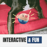 Dancing & Singing Piglet – Interactive Plush Toy for Babies, Toddlers & Pets