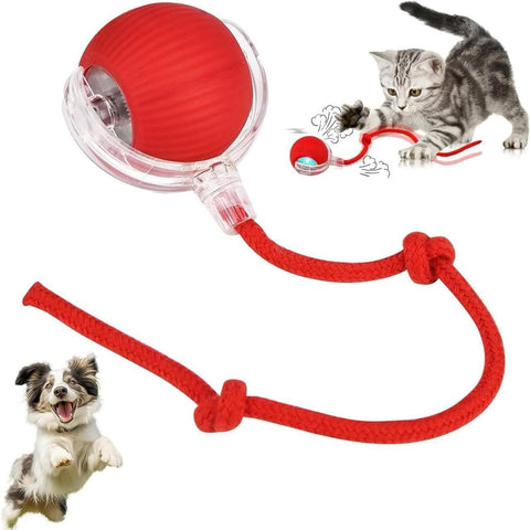 Automatic Cat Teaser Ball – Interactive LED Rolling Toy for Pets 🐾✨