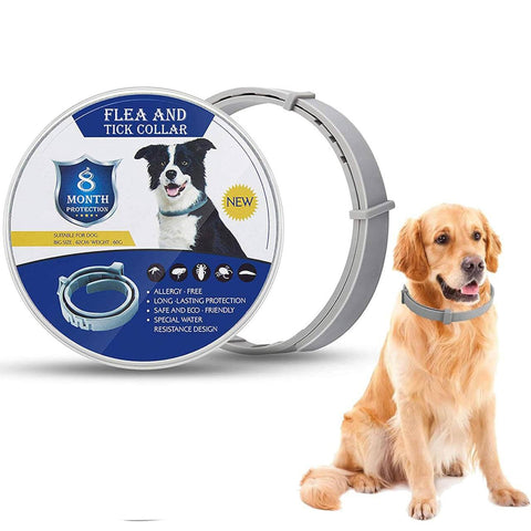 Dog Flea & Tick Protection Collar (8-Month Shield)